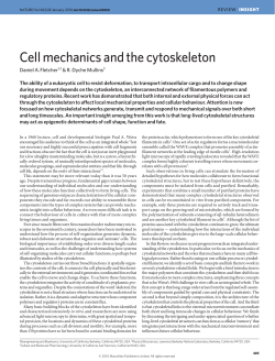 Cell mechanics and the cytoskeleton