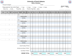 Budget Worksheet (Five Year with Salary Cap)
