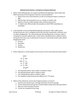 Multiple Choice Review &ndash; Emergence of Organic Molecules 1