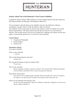 Primary School Groups