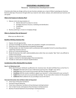 DEVELOPING A BUSINESS PLAN