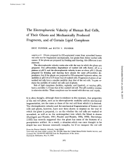The Electrophoretic Velocity of Human Red Cells, of Their Ghosts