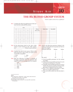THE Rh BLOOD GROUP SYSTEM