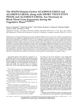 The MADS-Domain Factors AGAMOUS-LIKE15