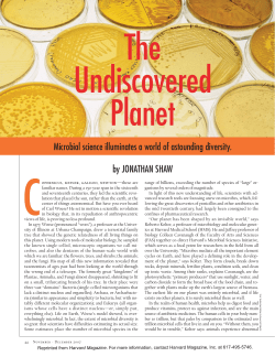 The Undiscovered Pla..