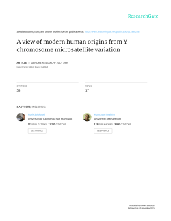 A view of modern human origins from Y