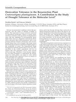 Desiccation Tolerance in the Resurrection Plant
