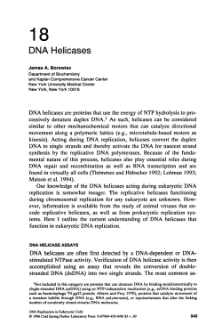 Chapter 18: DNA Helicases