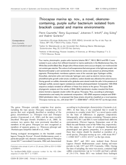 Thiocapsa marina sp. nov., a novel, okenone