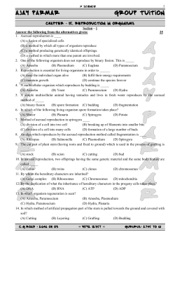 AJAY PARMAR GROUP TUITION