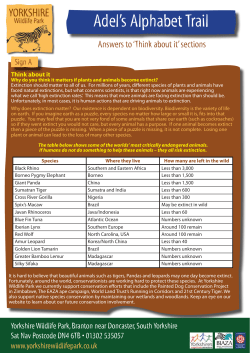 Adel`s Alphabet Trail - yorkshirewildlifepark.com