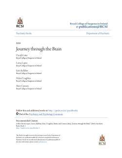 Journey through the Brain - e-publications@RCSI