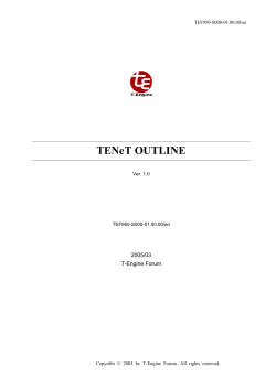 TENeT OUTLINE