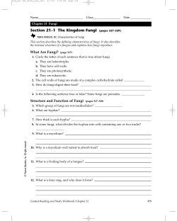 pages 527&ndash;529