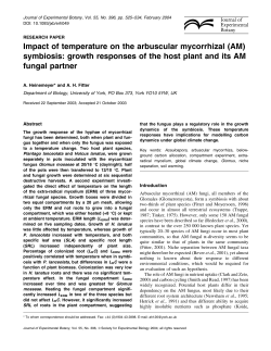 Impact of temperature on the arbuscular