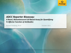 ADCC Reporter Bioassay