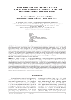 FLOW STRUCTURE AND DYNAMICS IN LARGE TROPICAL RIVER