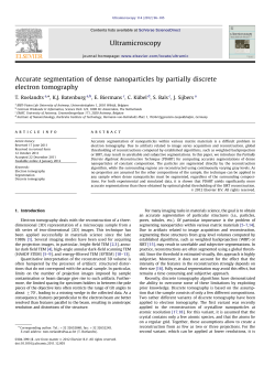 Accurate segmentation of dense nanoparticles by partially discrete