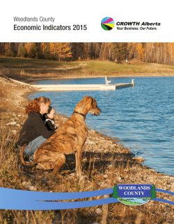 Economic Indicators 2015