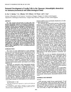 Postnatal Development of Leydig Cells in the