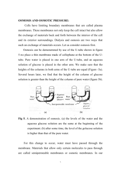 Solutions and colloids are essential to life