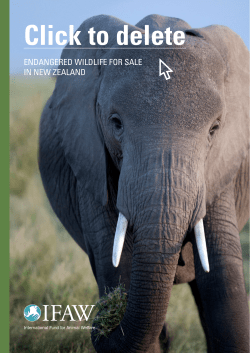 Click to delete - ENDANGERED WILDLIFE FOR SALE IN NEW