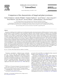 Comparison of the characteristics of fungal and plant tyrosinases