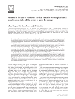 Patterns in the use of rainforest vertical space by