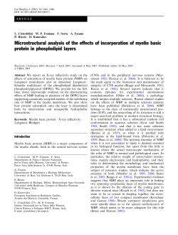 Micro-structural analysis of the effects of incorporation of Myelin