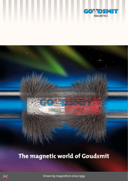 The magnetic world of Goudsmit