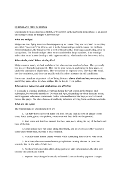 QUEENSLAND ITCH IN HORSES Queensland Itch(also known as Q