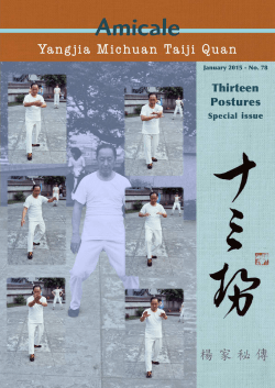 Thirteen Postures - Amicale Yangjia Michuan Taijiquan