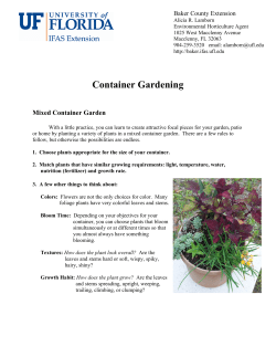 Container Gardening - Baker County Extension Office