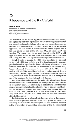 Ribosomes and the RNA World