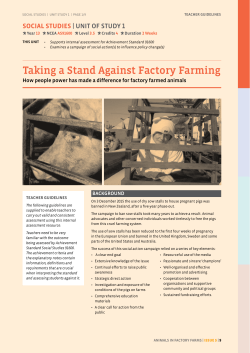 Taking a Stand Against Factory Farming