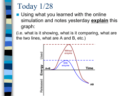PDF UNIT 2A Enzyme PPT