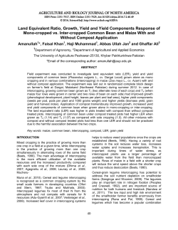 Land Equivalent Ratio, Growth, Yield and Yield Components