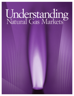 Understanding Natural Gas Markets (American Petroleum Institute)