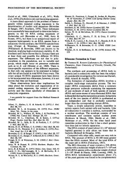 Ribosome formation in yeast
