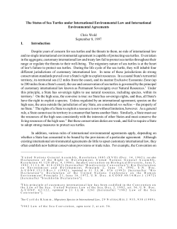 The Status of Sea Turtles under International