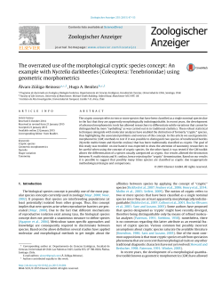 The overrated use of the morphological cryptic species concept: An