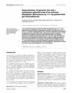 Determination of genome size and a preliminary