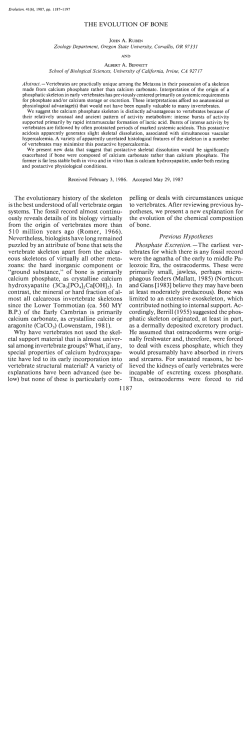 as a PDF