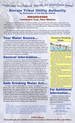 Casamero Cup - Navajo Tribal Utility Authority