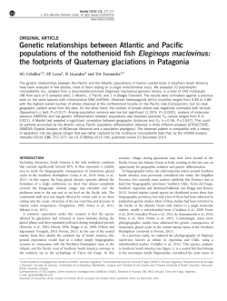 Genetic relationships between Atlantic and Pacific