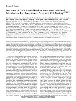 Isolation of Cells Specialized in Anticancer