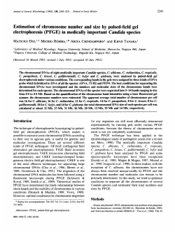 Estimation of chromosome number and size by pulsed