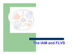 The IAM and FLVS