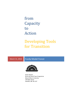 from Capacity to Action Developing Tools for Transition