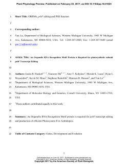 An Organelle RNA Recognition Motif Protein is